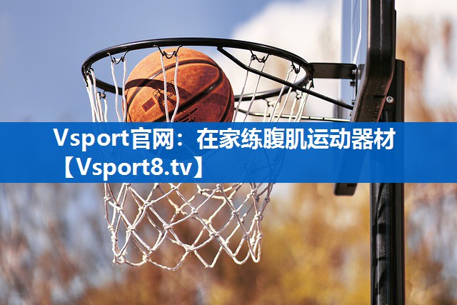 Vsport官网：在家练腹肌运动器材