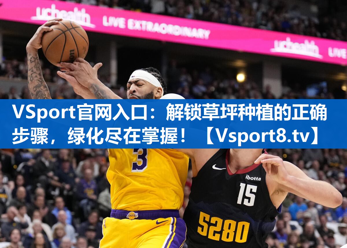 VSport官网入口：解锁草坪种植的正确步骤，绿化尽在掌握！