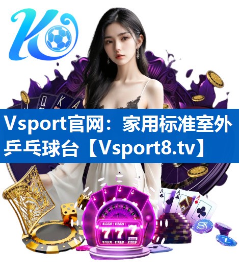 Vsport官网：家用标准室外乒乓球台